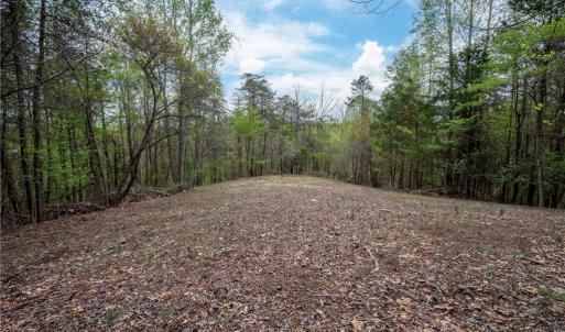 Photo #9 of 8397 Tuscany, Lewisville, NC 3.8 acres