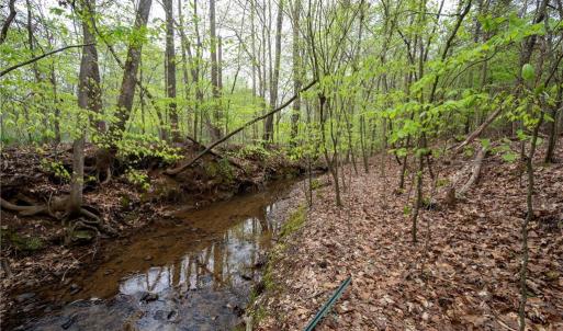 Photo #10 of 8397 Tuscany, Lewisville, NC 3.8 acres