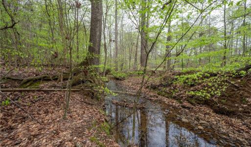Photo #11 of 8397 Tuscany, Lewisville, NC 3.8 acres