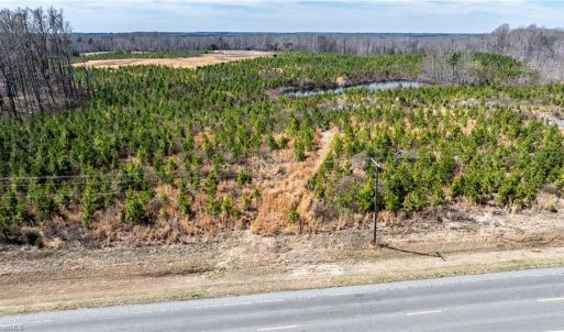 Photo #6 of 14974 NC Highway 86, Prospect Hill, NC 53.5 acres