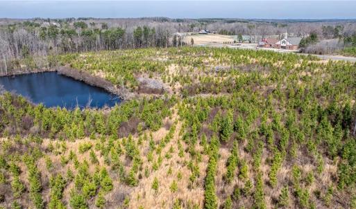 Photo #18 of 14974 NC Highway 86, Prospect Hill, NC 53.5 acres