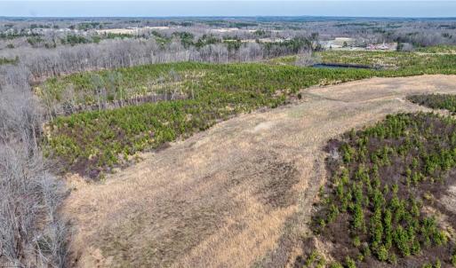 Photo #23 of 14974 NC Highway 86, Prospect Hill, NC 53.5 acres