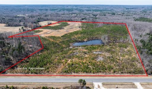 Photo #2 of 14974 NC Highway 86, Prospect Hill, NC 53.5 acres