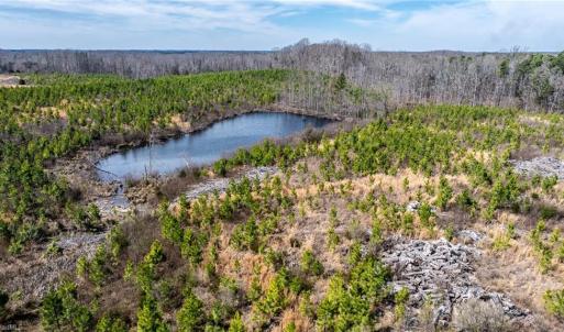 Photo #13 of 14974 NC Highway 86, Prospect Hill, NC 53.5 acres