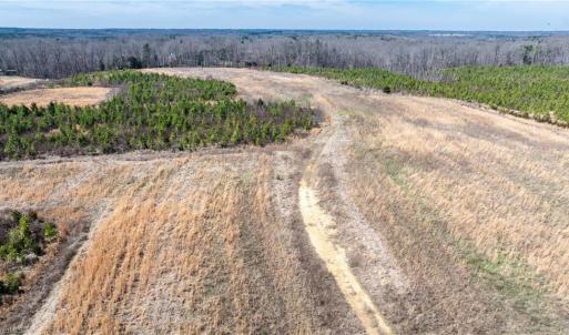 Photo #17 of 14974 NC Highway 86, Prospect Hill, NC 53.5 acres
