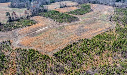 Photo #16 of 14974 NC Highway 86, Prospect Hill, NC 53.5 acres
