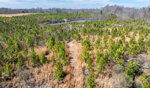 Photo #12 of 14974 NC Highway 86, Prospect Hill, NC 53.5 acres