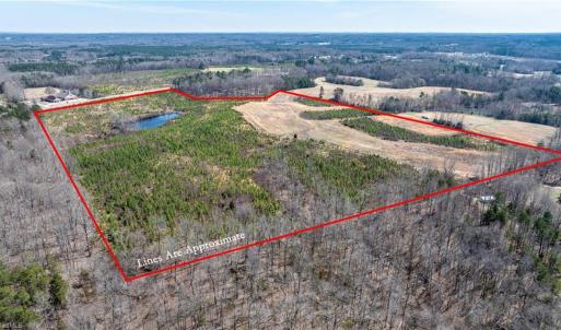 Photo #3 of 14974 NC Highway 86, Prospect Hill, NC 53.5 acres