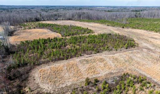 Photo #20 of 14974 NC Highway 86, Prospect Hill, NC 53.5 acres