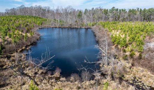 Photo #14 of 14974 NC Highway 86, Prospect Hill, NC 53.5 acres