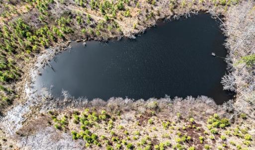 Photo #15 of 14974 NC Highway 86, Prospect Hill, NC 53.5 acres