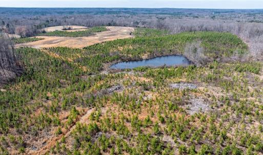 Photo #11 of 14974 NC Highway 86, Prospect Hill, NC 53.5 acres