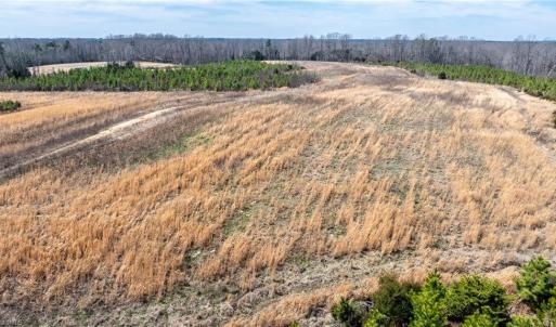 Photo #19 of 14974 NC Highway 86, Prospect Hill, NC 53.5 acres