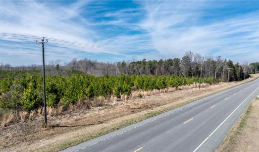 Photo #4 of 14974 NC Highway 86, Prospect Hill, NC 53.5 acres