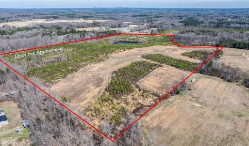 Photo #8 of 14974 NC Highway 86, Prospect Hill, NC 53.5 acres