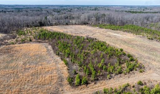 Photo #21 of 14974 NC Highway 86, Prospect Hill, NC 53.5 acres