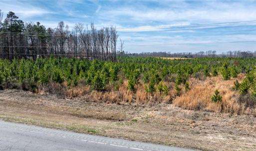 Photo #5 of 14974 NC Highway 86, Prospect Hill, NC 53.5 acres