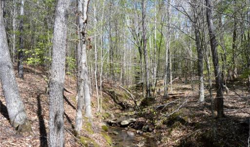 Photo #23 of 230 Dibrell, Pelham, NC 97.6 acres