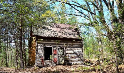 Photo #27 of 230 Dibrell, Pelham, NC 97.6 acres