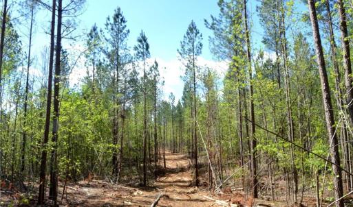 Photo #6 of 230 Dibrell, Pelham, NC 97.6 acres