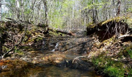 Photo #17 of 230 Dibrell, Pelham, NC 97.6 acres