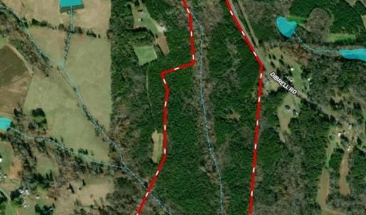 Photo #43 of 230 Dibrell, Pelham, NC 97.6 acres