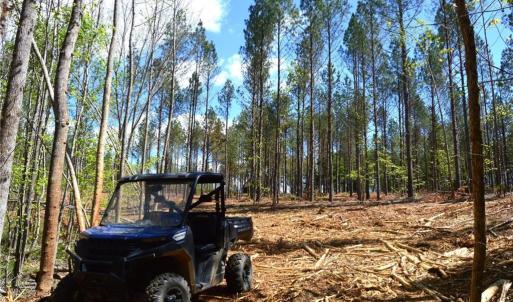 Photo #26 of 230 Dibrell, Pelham, NC 97.6 acres
