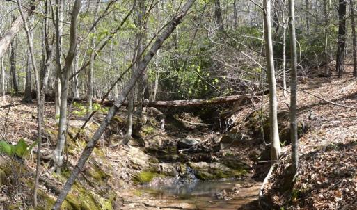 Photo #22 of 230 Dibrell, Pelham, NC 97.6 acres
