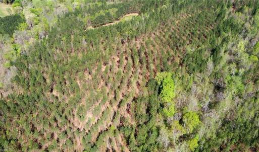 Photo #32 of 230 Dibrell, Pelham, NC 97.6 acres
