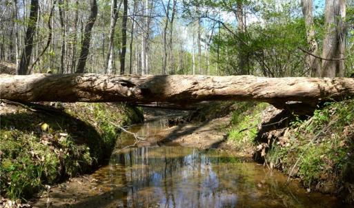 Photo #1 of 230 Dibrell, Pelham, NC 97.6 acres