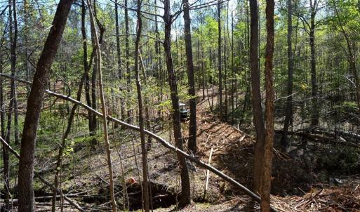 Photo #5 of 230 Dibrell, Pelham, NC 97.6 acres