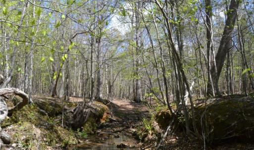 Photo #20 of 230 Dibrell, Pelham, NC 97.6 acres