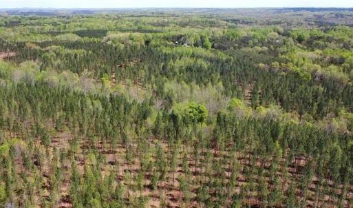 Photo #34 of 230 Dibrell, Pelham, NC 97.6 acres