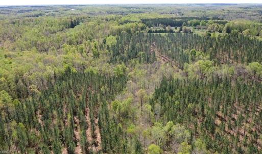 Photo #38 of 230 Dibrell, Pelham, NC 97.6 acres
