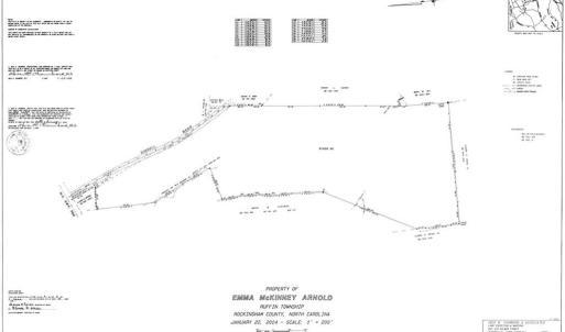 Photo #41 of 230 Dibrell, Pelham, NC 97.6 acres