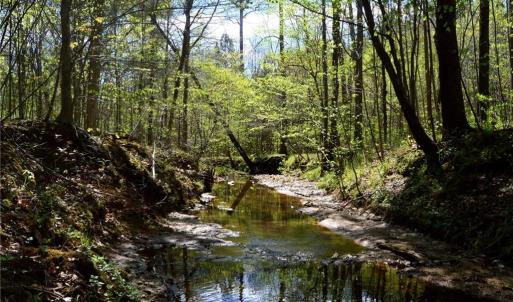 Photo #18 of 230 Dibrell, Pelham, NC 97.6 acres
