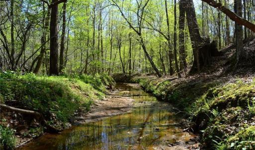 Photo #15 of 230 Dibrell, Pelham, NC 97.6 acres