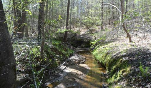 Photo #11 of 230 Dibrell, Pelham, NC 97.6 acres