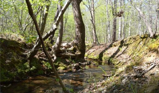 Photo #19 of 230 Dibrell, Pelham, NC 97.6 acres