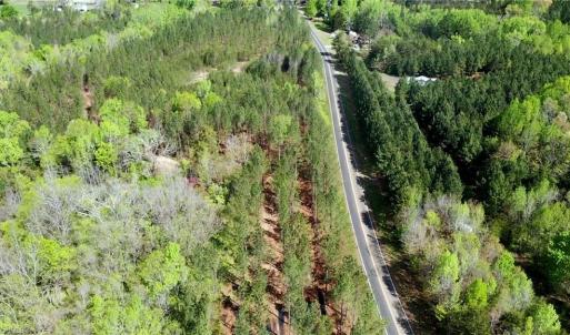 Photo #35 of 230 Dibrell, Pelham, NC 97.6 acres