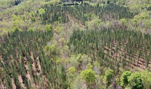Photo #31 of 230 Dibrell, Pelham, NC 97.6 acres
