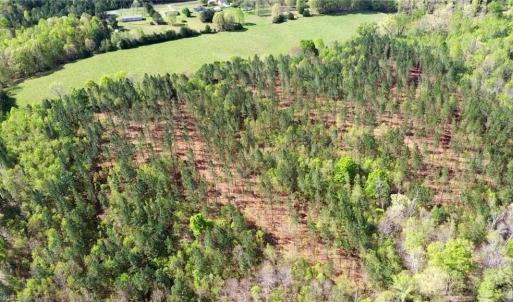 Photo #39 of 230 Dibrell, Pelham, NC 97.6 acres