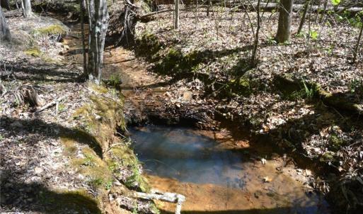 Photo #25 of 230 Dibrell, Pelham, NC 97.6 acres