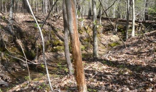 Photo #21 of 230 Dibrell, Pelham, NC 97.6 acres