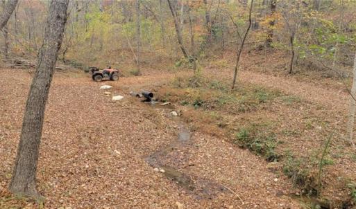 Photo #17 of 210 Towe, Cana, VA 6.3 acres