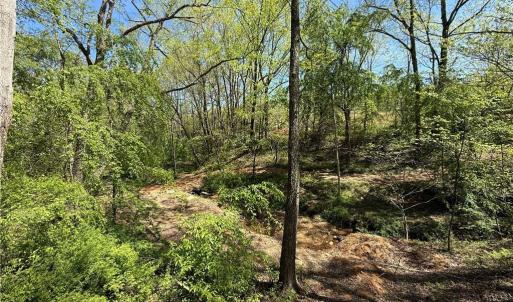 Photo #16 of 210 Towe, Cana, VA 6.3 acres