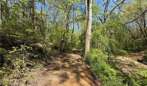 Photo #14 of 210 Towe, Cana, VA 6.3 acres