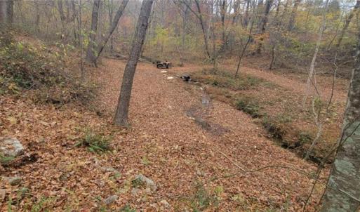 Photo #18 of 210 Towe, Cana, VA 6.3 acres