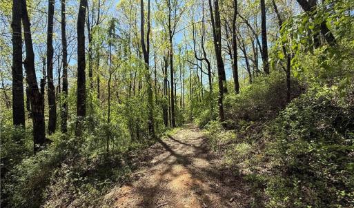Photo #15 of 210 Towe, Cana, VA 6.3 acres