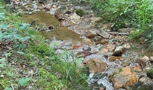 Photo #19 of 210 Towe, Cana, VA 6.3 acres